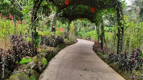 Beautiful pathway in a garden  Singapore
