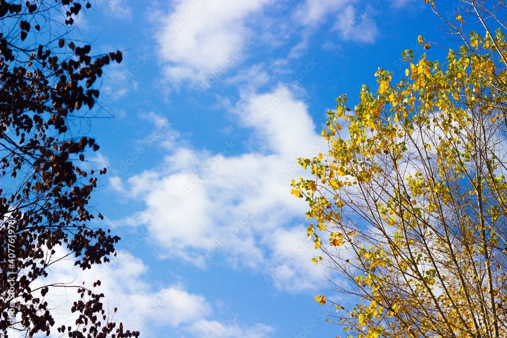 Blue sky with cloud and tree. Background of bright sun and a blue sky with clouds. The concept of hot and warming weather Blue sky with cloud and tree. Background of bright sun and a blue sky with clouds. The concept of hot and warming weather