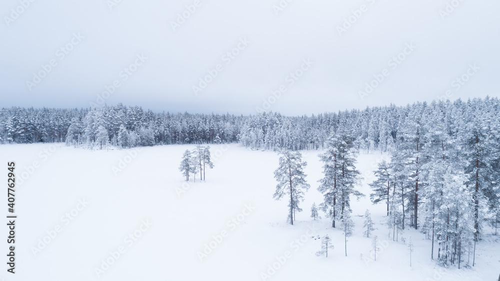 Beautiful winter landscape with snow covered trees. Majestic winter pine trees. 