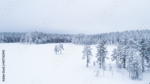 Beautiful winter landscape with snow covered trees. Majestic winter pine trees.  © raland