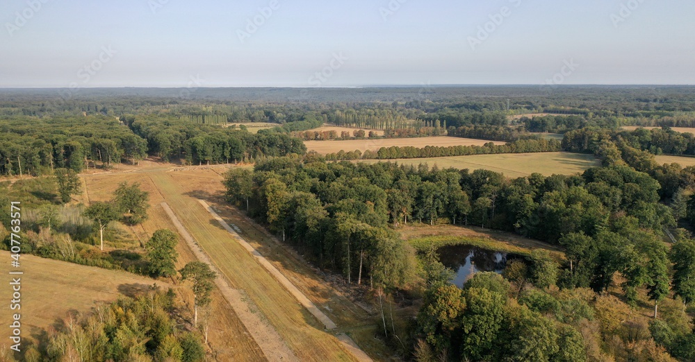 Naklejka premium parc, forêt, château de Rambouillet dans les Yvelines (France)