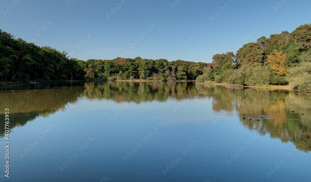 parc, jardin, forêt et château de Rambouillet dans les Yvelines (France)