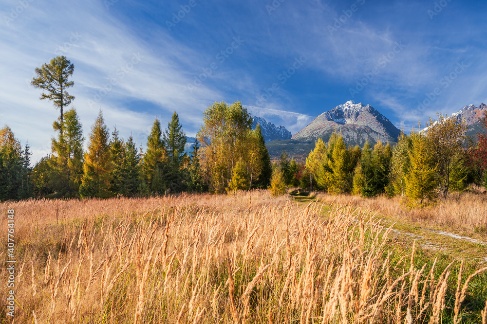 Beautiful autumn day and colorful tree in High Tatras panorama mountains,Slovakia