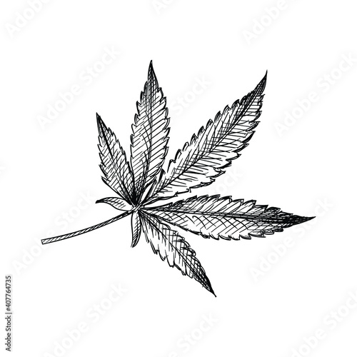 Hand drawn sketch of Marijuana Leaf on a white background. Weed smoking tools. Marijuana smoking. Cannabis
