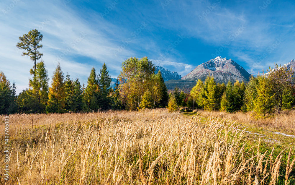 Beautiful autumn day and colorful tree in High Tatras panorama mountains,Slovakia
