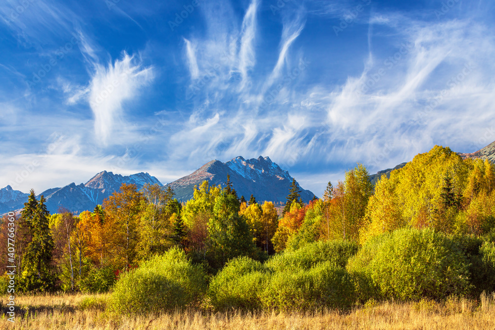 Beautiful autumn day and colorful tree in High Tatras panorama mountains,Slovakia