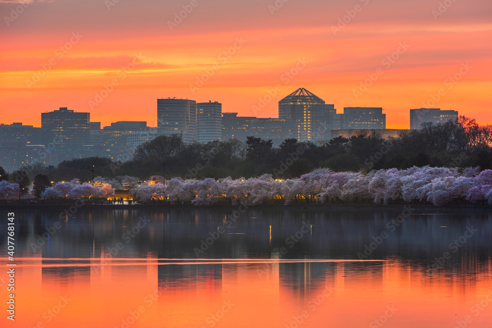 View of Rosslyn, Arlington, Virginia, USA from the tidal basin in Washington DC at Dusk