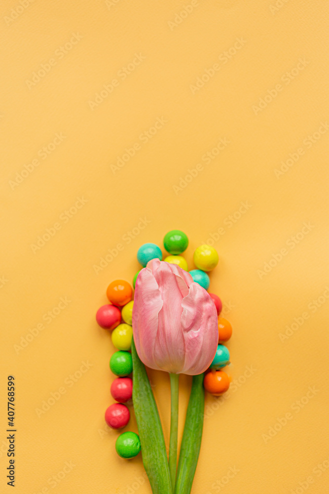 Tender pink tulip and a lot of vivid colored balls around in bottom of pastel yellow background. Flat lay. Copy space. Concept of international women's day, mother's day, easter. Valentines love day Tender pink tulip and a lot of vivid colored balls around in bottom of pastel yellow background. Flat lay. Copy space. Concept of international women's day, mother's day, easter. Valentines love day