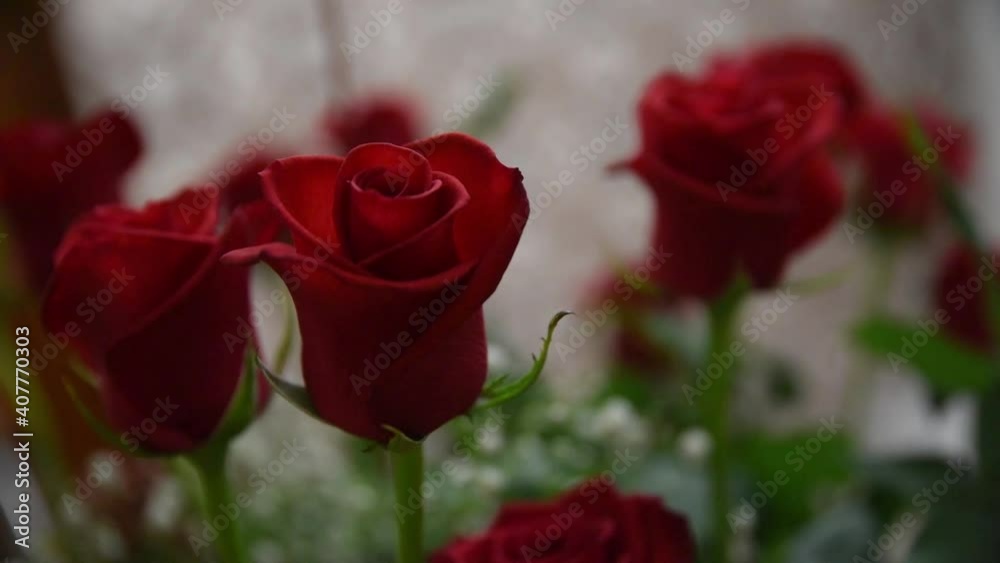 Bouquet of red roses. Bouquet of flowers for wedding Bouquet of red roses. Bouquet of flowers for wedding