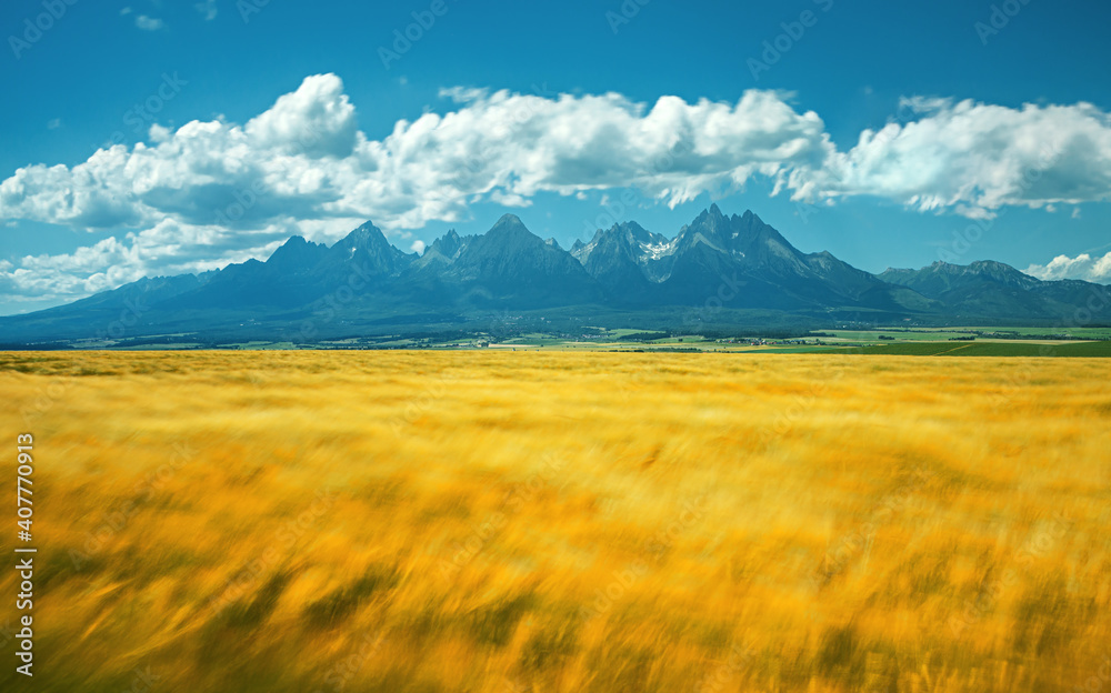 nature, created by nature, view, sky, purity, untouched, pure, sunny, without humans, earth, innocence, flora, plants, planet earth, travel, realx, peace, rest, tranquility, vacation, freedom, space,