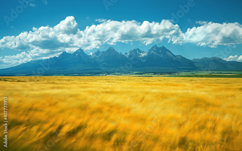 Obraz na płótnie nature, created by nature, view, sky, purity, untouched, pure, sunny, without humans, earth, innocence, flora, plants, planet earth, travel, realx, peace, rest, tranquility, vacation, freedom, space, w salonie