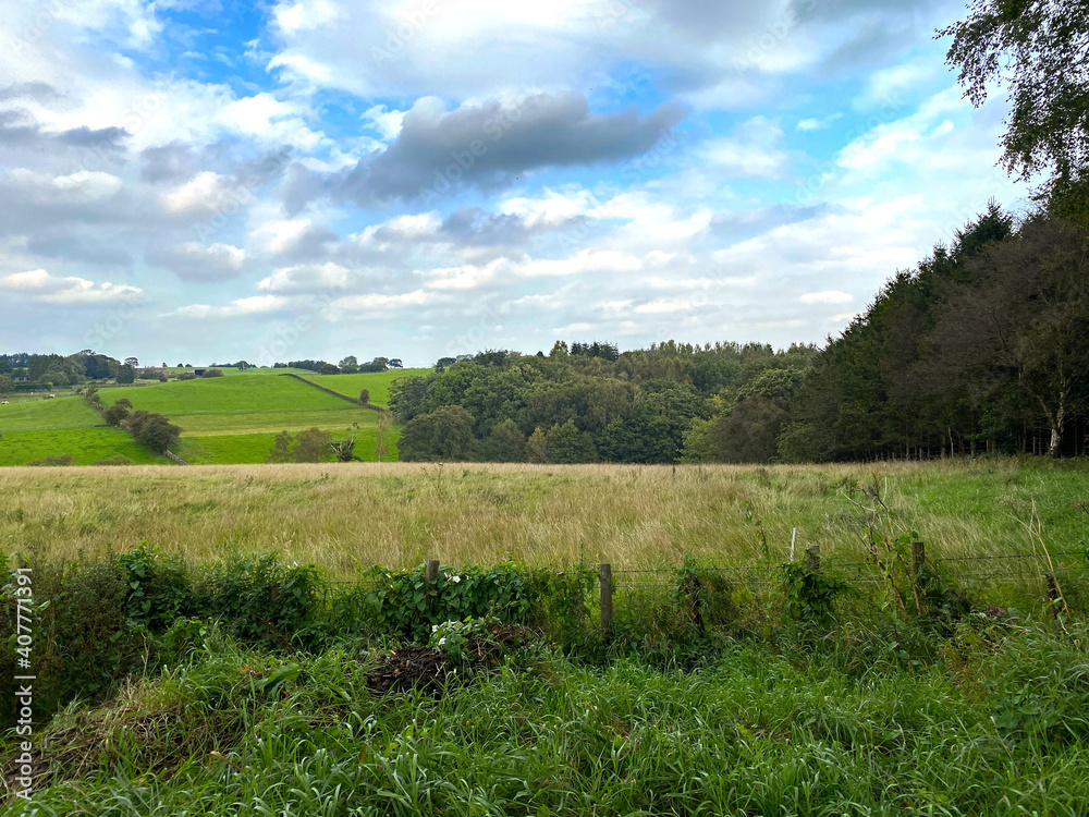 Fototapeta premium Rural view, with an uncut meadow, and rolling hills in, Farnley, Otley, UK