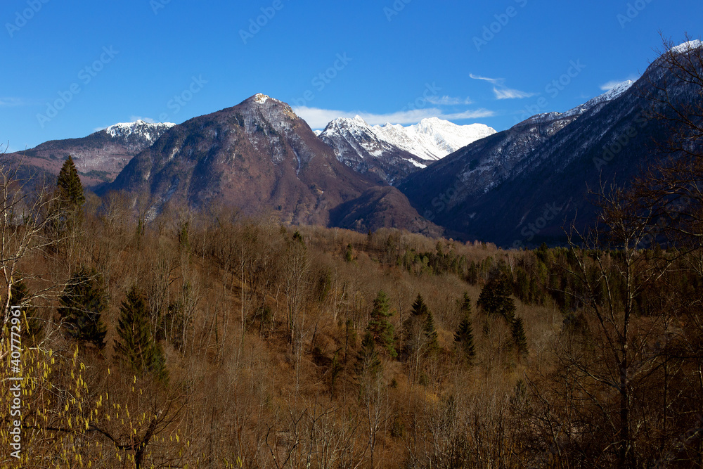 Spring scenery with snowy mountain peacks and forest in the foreground. Slovenia