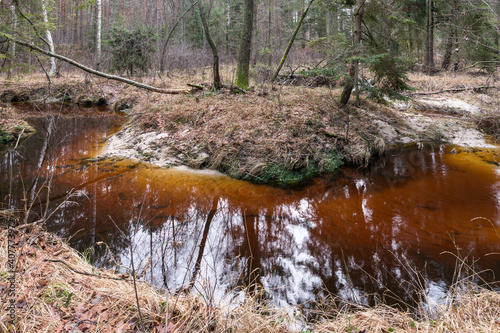 Forest landscape with amber color water. Smarkata River Valley in Poland