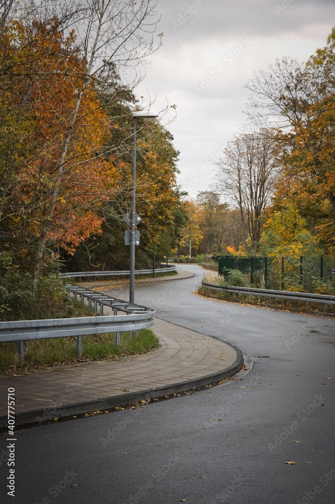 Obraz premium Kurvige Straße im Herbst