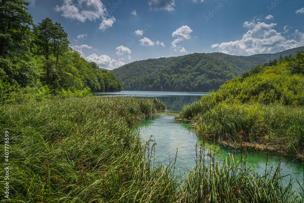Turquoise coloured river surrounded by reeds and green lush forest flows into the lake, Plitvice Lakes National Park UNESCO World Heritage in Croatia