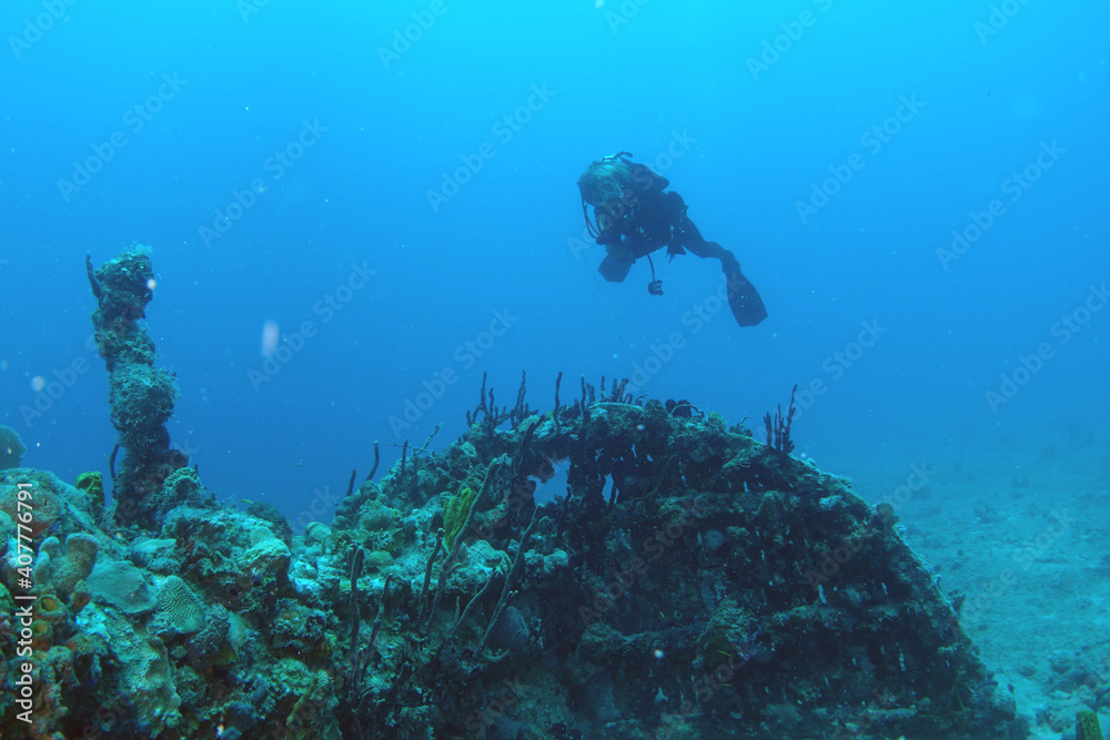 Diving at the Royal Mail Steamer Rhone sank 1867, Island Salt, British Virgin Island, Caribbean wreck dive, Fun diving with beautiful fishes