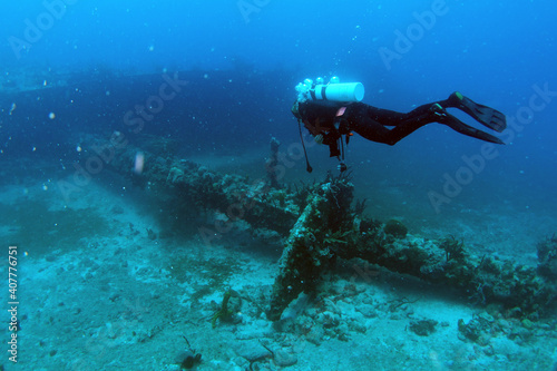 Wallpaper Mural Diving at the Royal Mail Steamer Rhone sank 1867, Island Salt, British Virgin Island, Caribbean wreck dive, Fun diving with beautiful fishes Torontodigital.ca