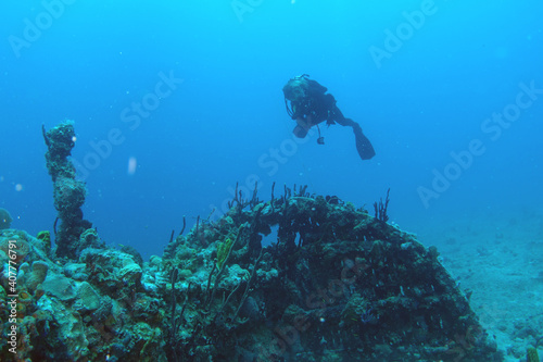 Diving at the Royal Mail Steamer Rhone sank 1867  Island Salt  British Virgin Island  Caribbean wreck dive  Fun diving with beautiful fishes