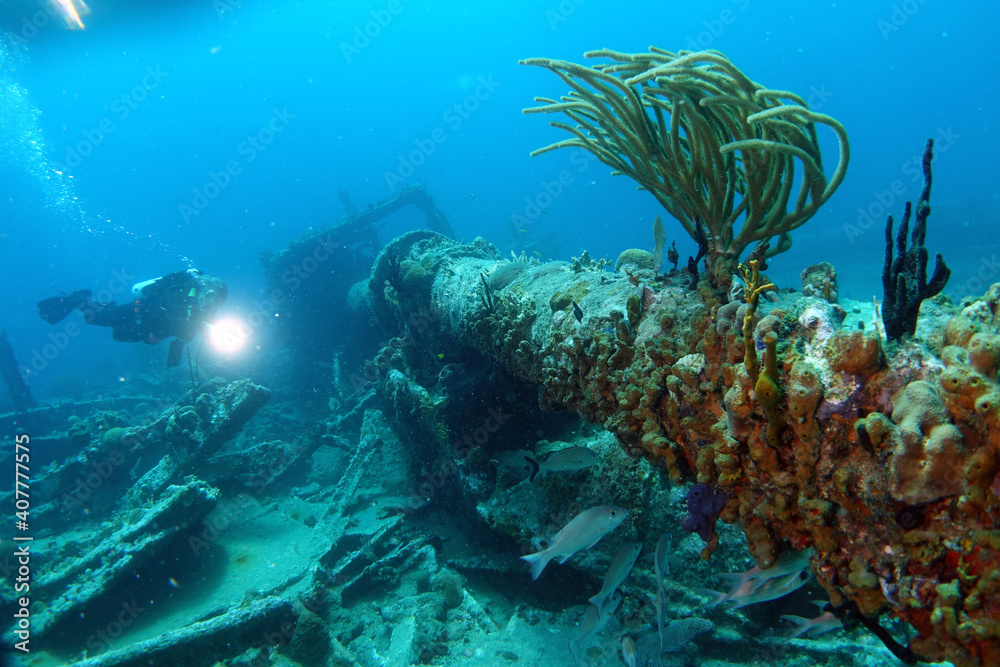 Obraz premium Diving at the Royal Mail Steamer Rhone sank 1867, Island Salt, British Virgin Island, Caribbean wreck dive, Fun diving with beautiful fishes