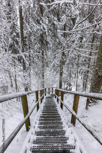 path in winter photo