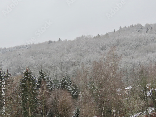 Countryside on a calm winter day with snow covered fir trees and forest in background