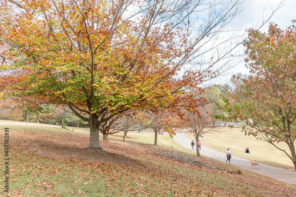 Naklejka premium Atlanta Piedmont Park During Fall