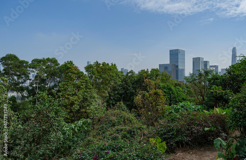 Overlooking the center of Shenzhen
