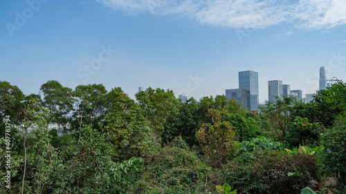 Overlooking the center of Shenzhen