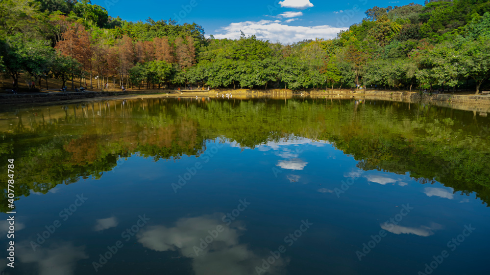 The peaceful lake in the park