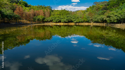 The peaceful lake in the park