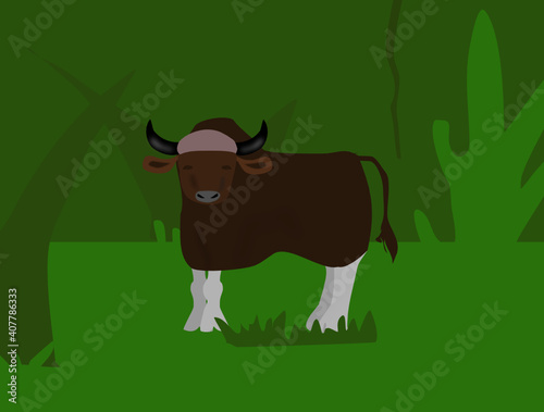 image of a gaur