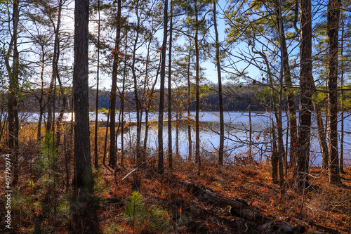 A stunning shot of the lush green and autumn colored trees at sunset near the lake water with blue sky at Lake McIntosh Park in Peachtree City Georgia photo