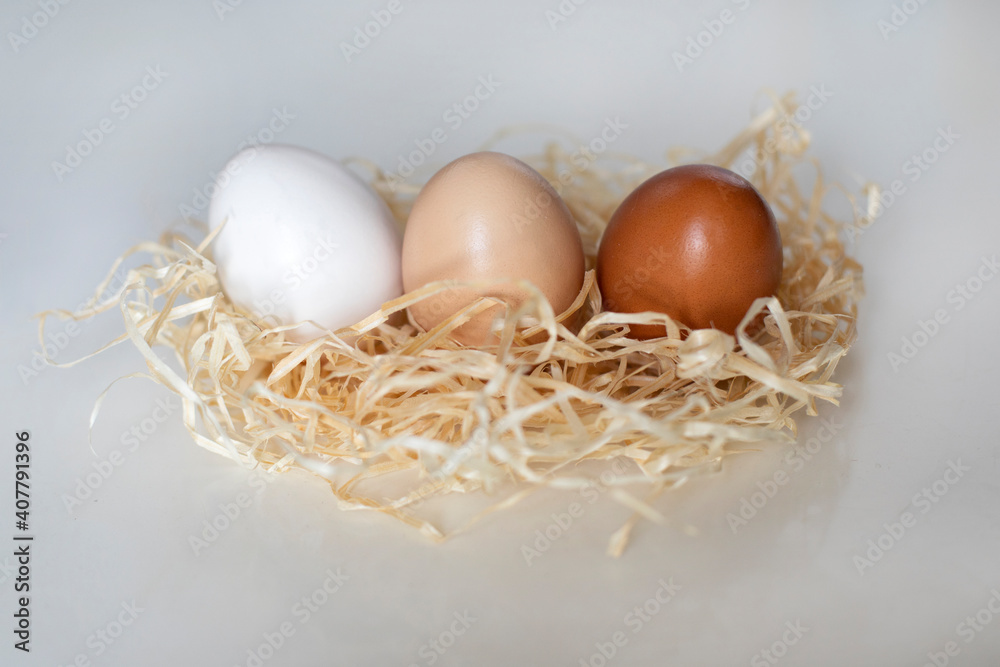 different eggs in the nest different eggs in the nest