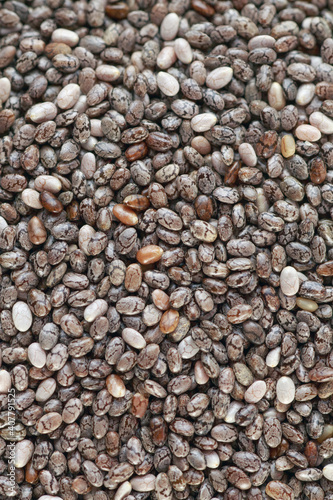 Macro photo of Chia Seed 
