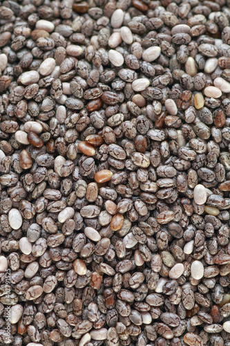 Macro photo of Chia Seed