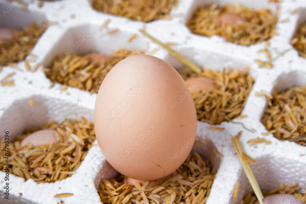 Egg is in the protective foam packaging. Egg is in the protective foam packaging.