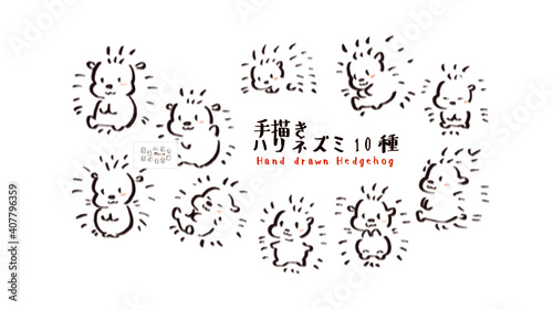                         10    -Hand drawn Hedgehog-