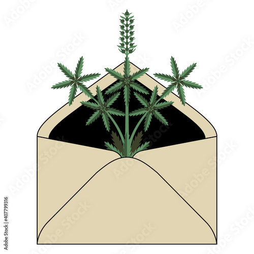 Paper envelope with branch of cannabis or hemp plant inside. Marijuana delivery.