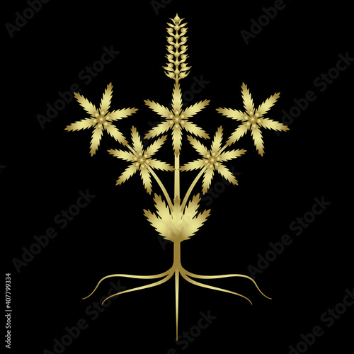 Stylized branch of cannabis or hemp plant. Glossy golden silhouette on black background.