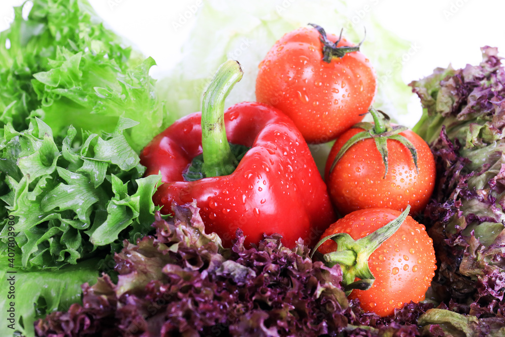 Fresh organic vegetable for Cooking Salad Fresh organic vegetable for Cooking Salad