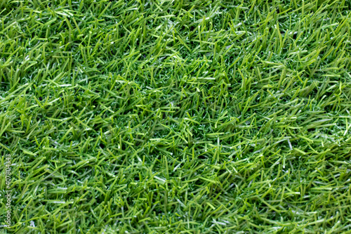 green grass background