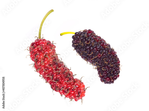 fresh mulberries isolated on white background