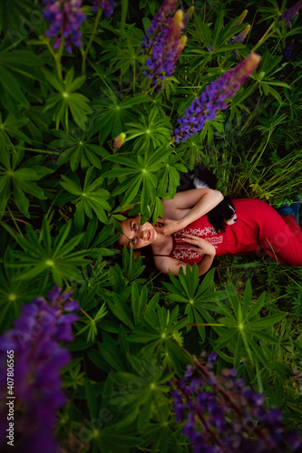 A girl in a clearing with Lupin flowers lies in the grass  holding a small dog cavalier king Charles Spaniel. Image with selective focus  toning  and noise effect