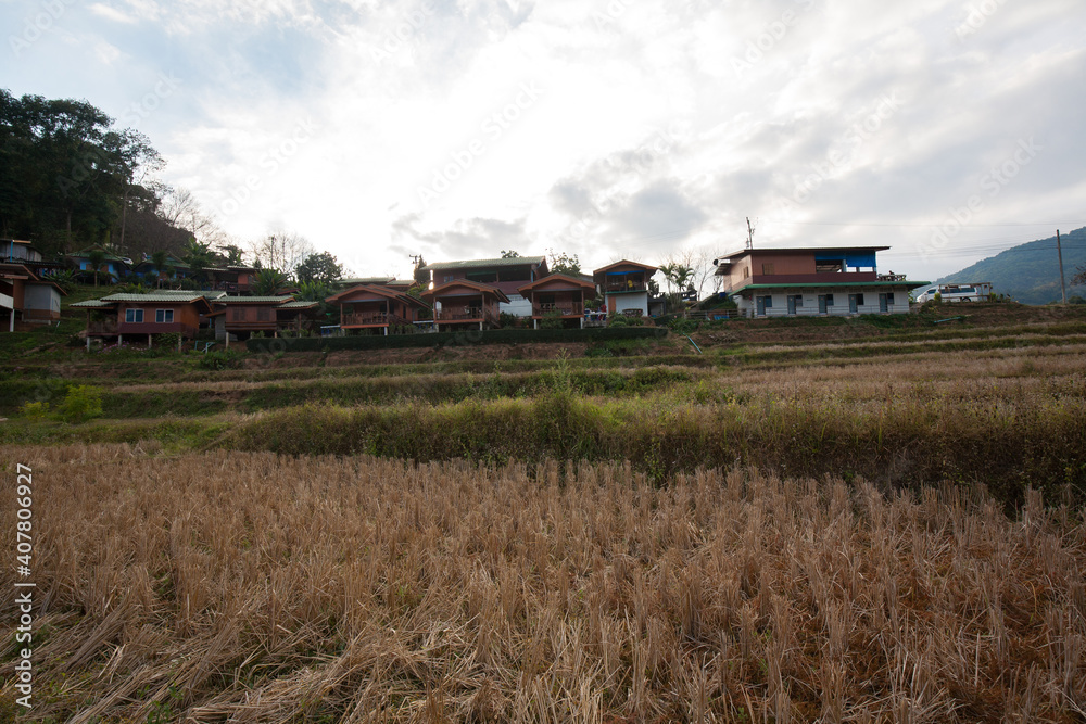 Landscape of Mae Klang Luang urban village with rice field in Winter season, Chiang Mai, Northern Thailand Landscape of Mae Klang Luang urban village with rice field in Winter season, Chiang Mai, Northern Thailand