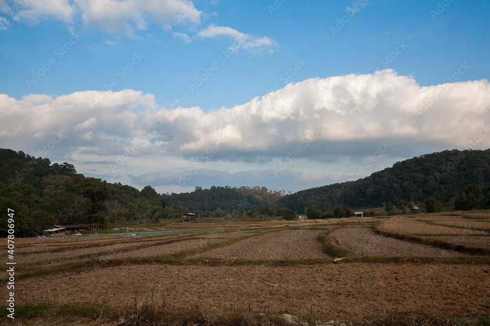 Landscape of Mae Klang Luang urban village with rice field in Winter season, Chiang Mai, Northern Thailand