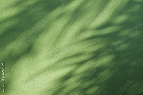 Tropical leaves natural shadow overlay on green texture background