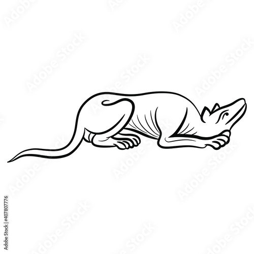 Stylized lying dog. Medieval illuminated manuscript motif. Black and white linear silhouette.
