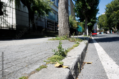 view of weedy sidewalk edge photo