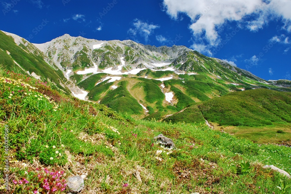 Fototapeta premium 夏景色 立山アルパイン